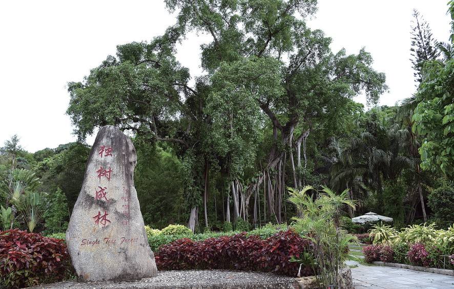 图片关键词 图片关键词