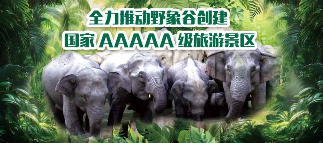图片关键词 图片