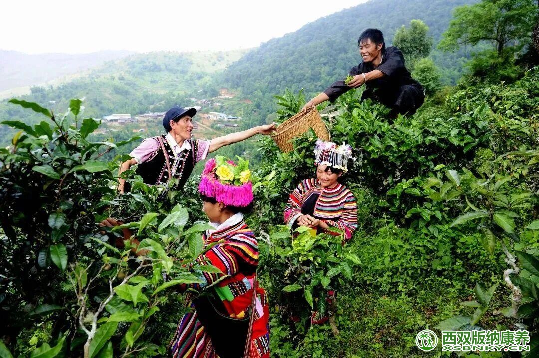 图片关键词