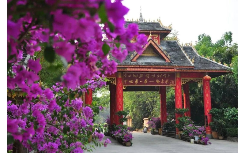 西双版纳勐景来景区